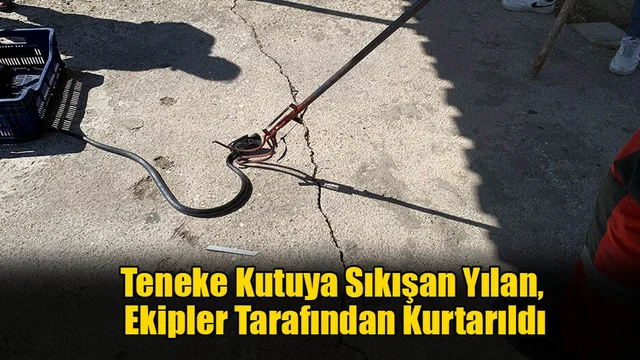 Teneke Kutuya Sıkışan Yılan, İtfaiye Ekipleri Tarafından Kurtarıldı