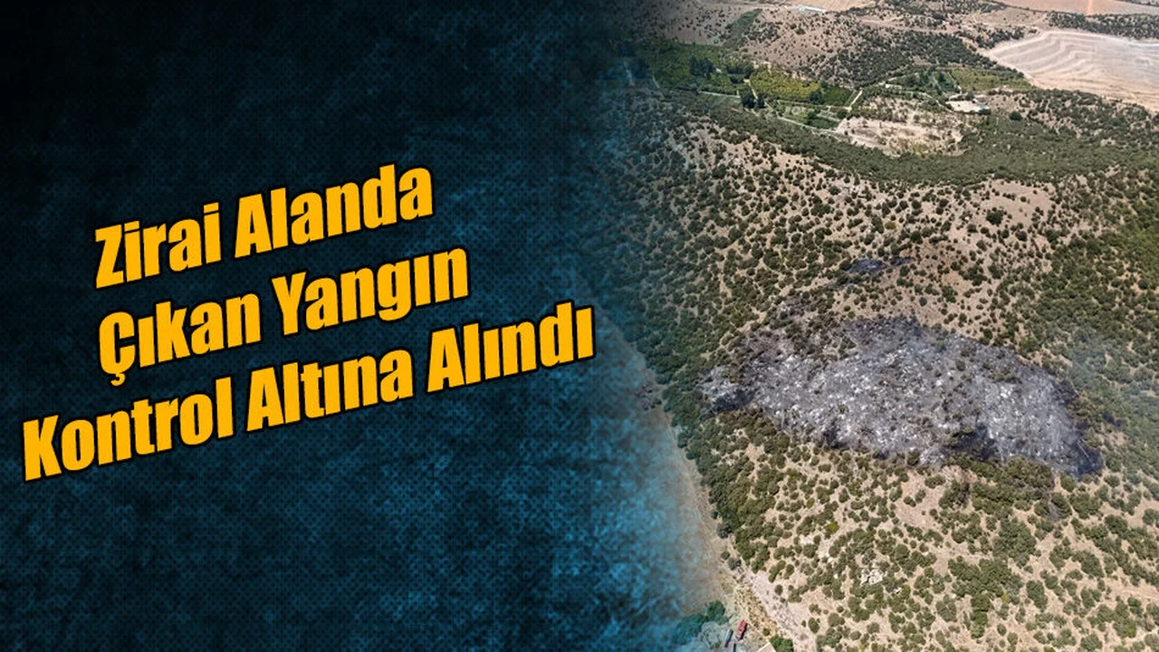 Zirai Alanda Çıkan Yangın Kontrol Altına Alındı