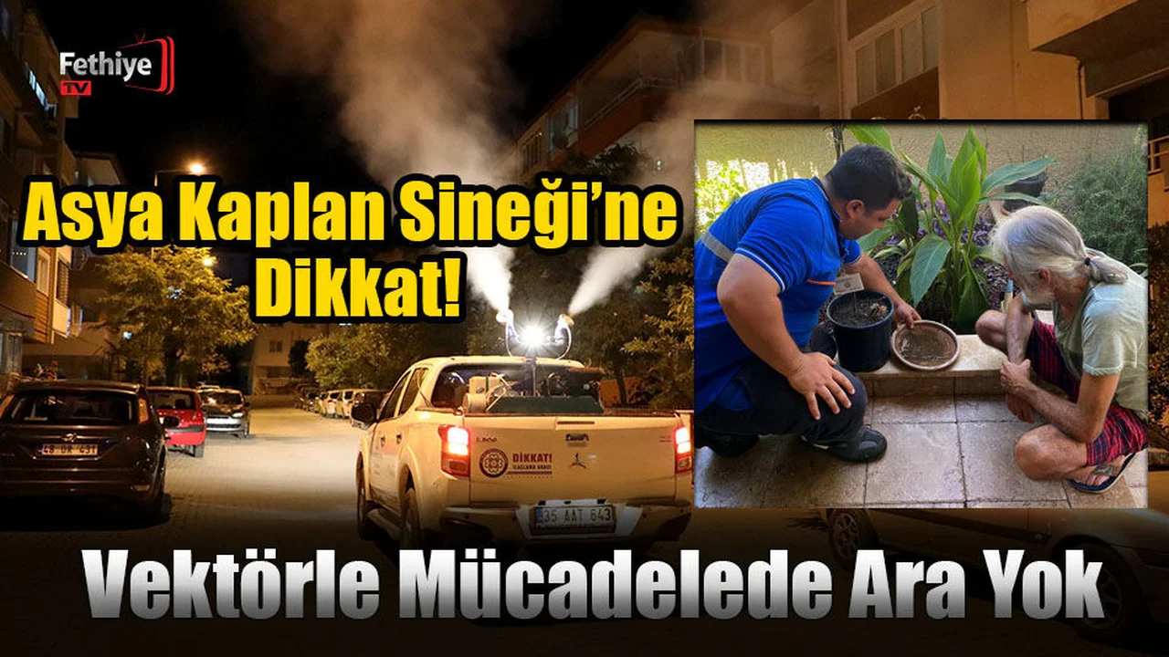 Vektörle Mücadelede Ara Yok