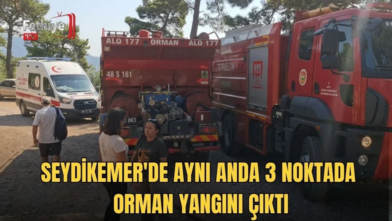 Seydikemer'de Aynı Anda 3 Noktada Orman Yangını Çıktı, Büyümeden Söndürüldü