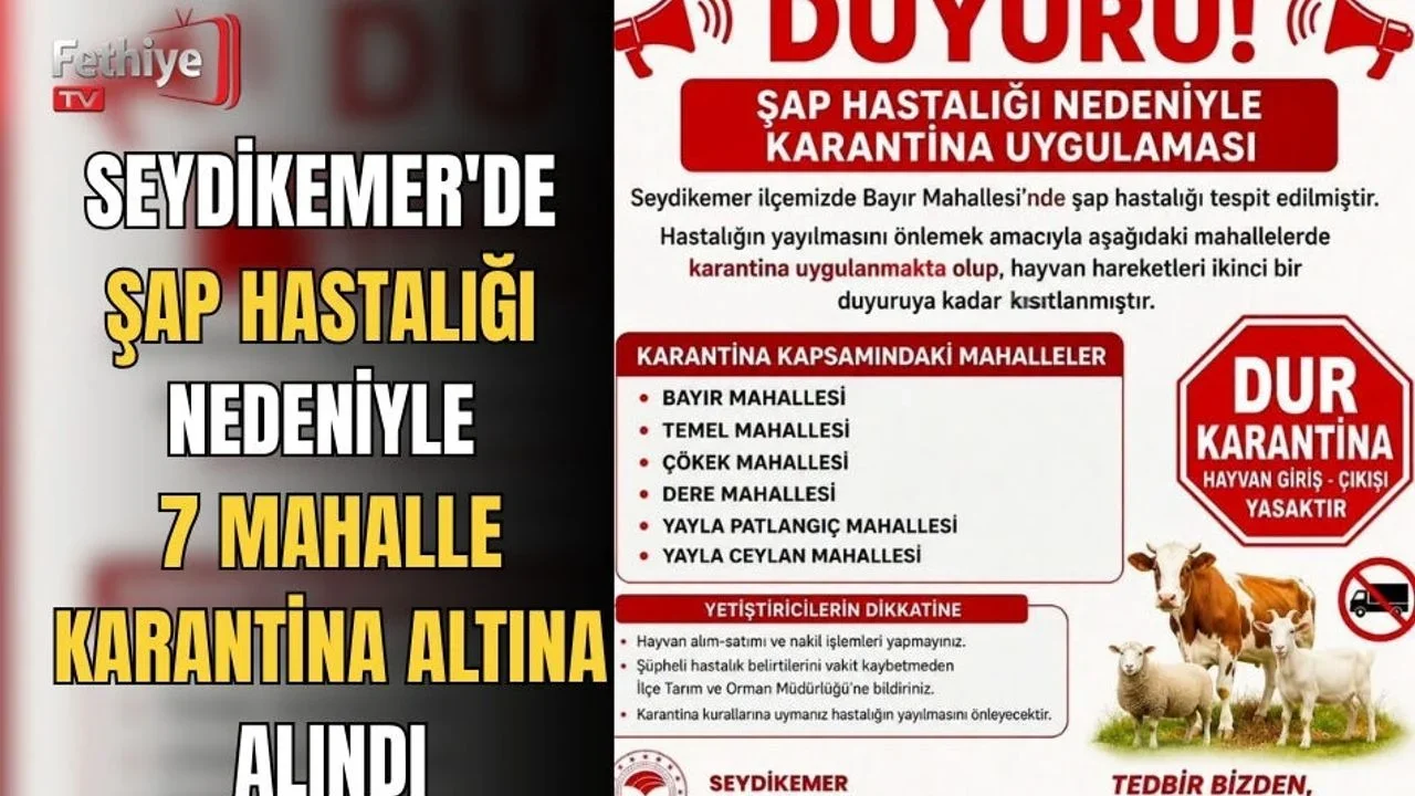 Seydikemer'de Şap Hastalığı Nedeniyle 7 Mahalle Karantina Altına Alındı