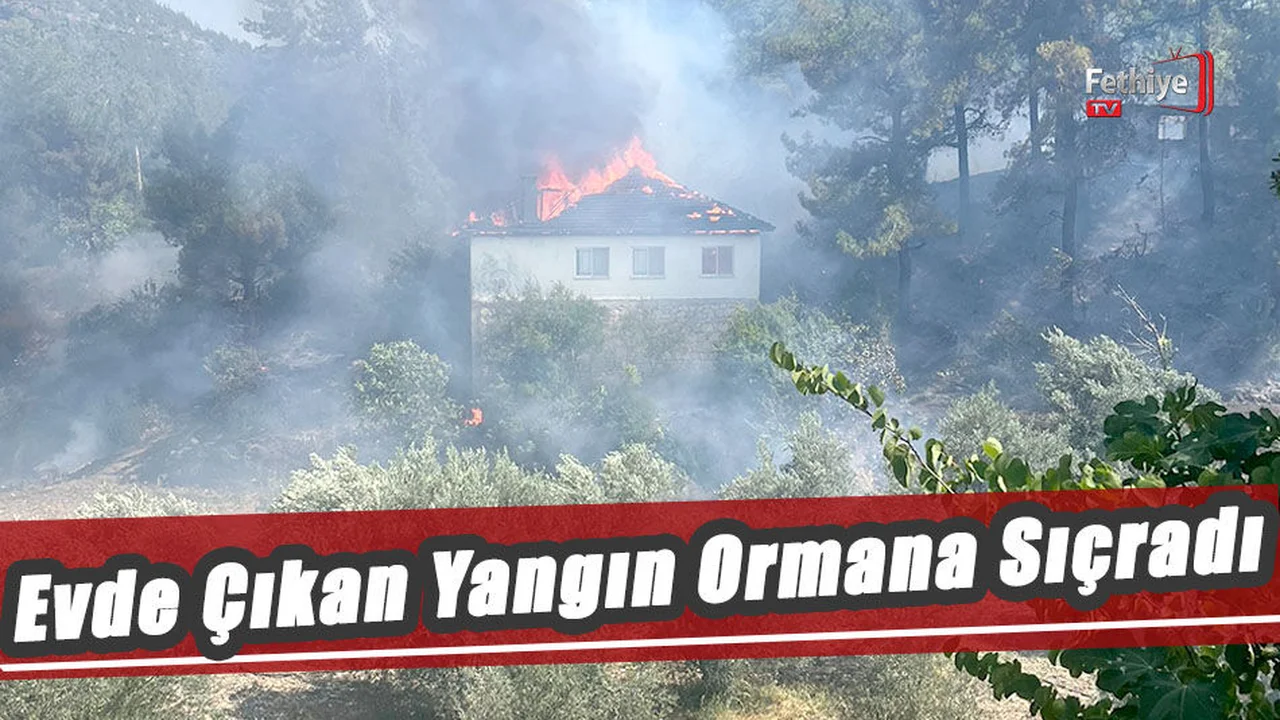 Yangına Havadan Ve Karadan Müdahale Devam Ediyor