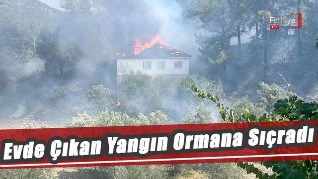 Yangına Havadan Ve Karadan Müdahale Devam Ediyor