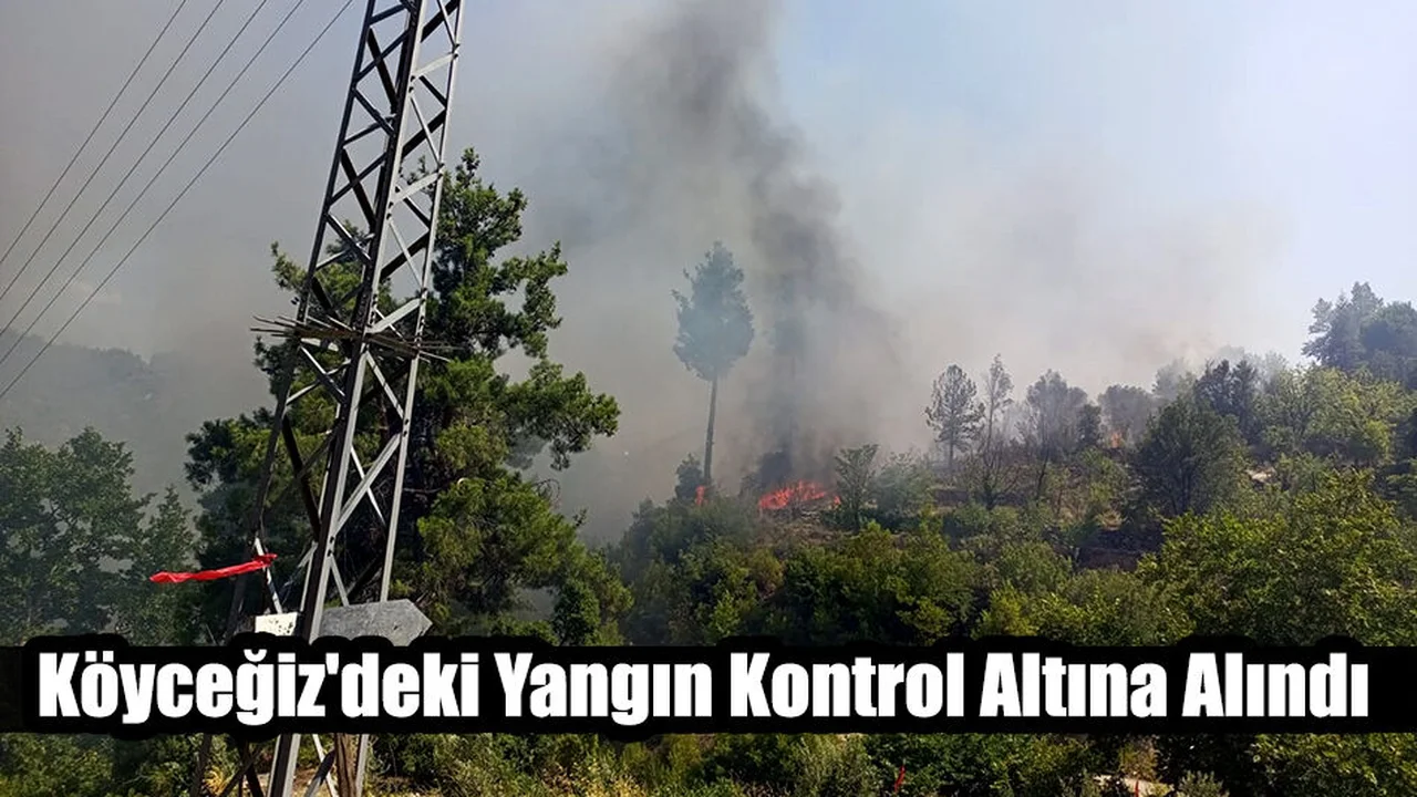 Köyceğiz'deki Yangın Kontrol Altına Alındı