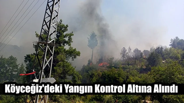 Köyceğiz'deki Yangın Kontrol Altına Alındı