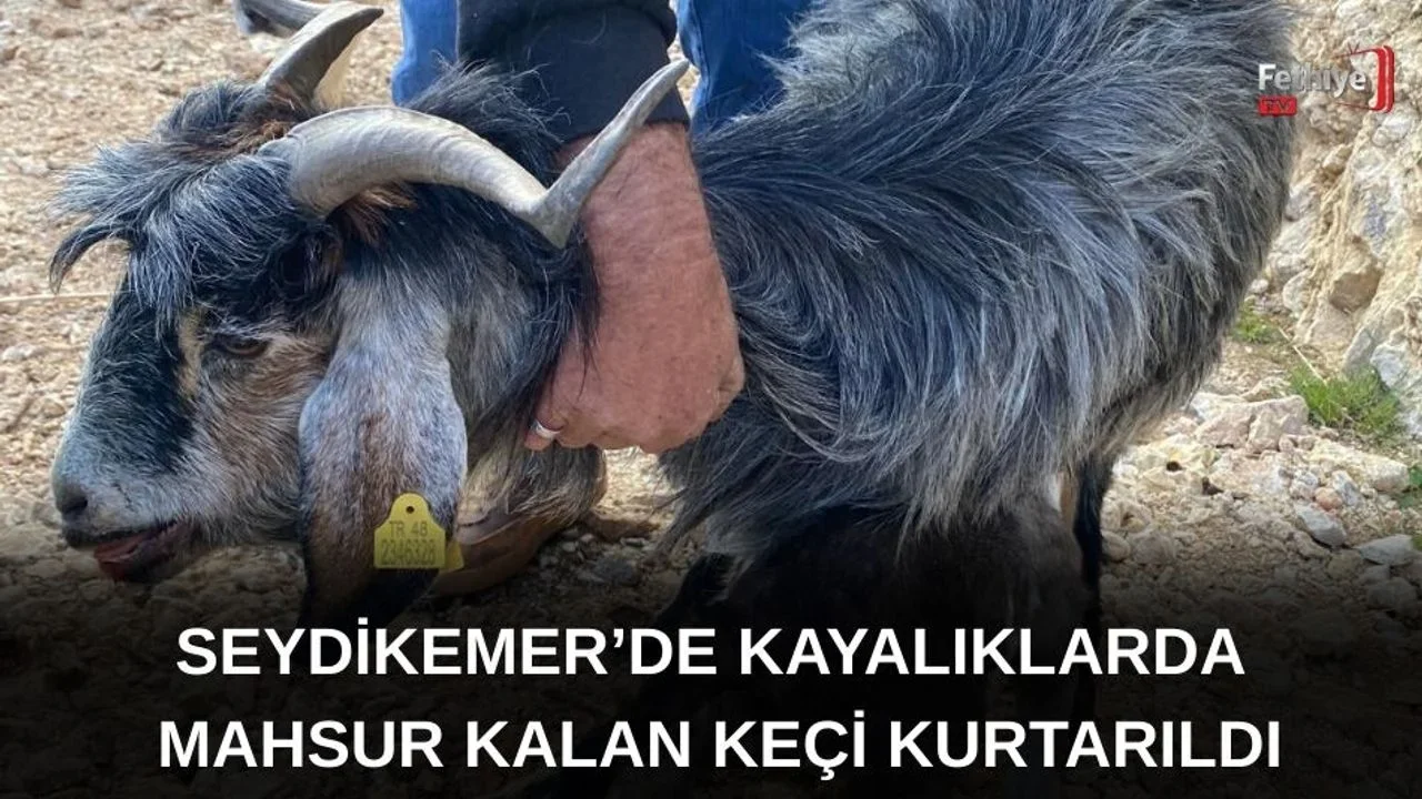 Seydikemer’de Kayalıklarda Mahsur Kalan Keçi Kurtarıldı