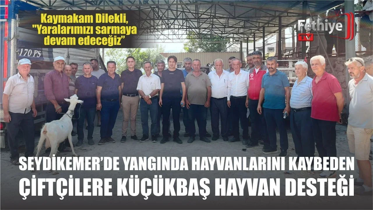 Seydikemer Kaymakamı Mustafa Dilekli, yangında hayvanları telef olan çiftçilere küçükbaş hayvan dağıtımı töreninde konuşuyor.