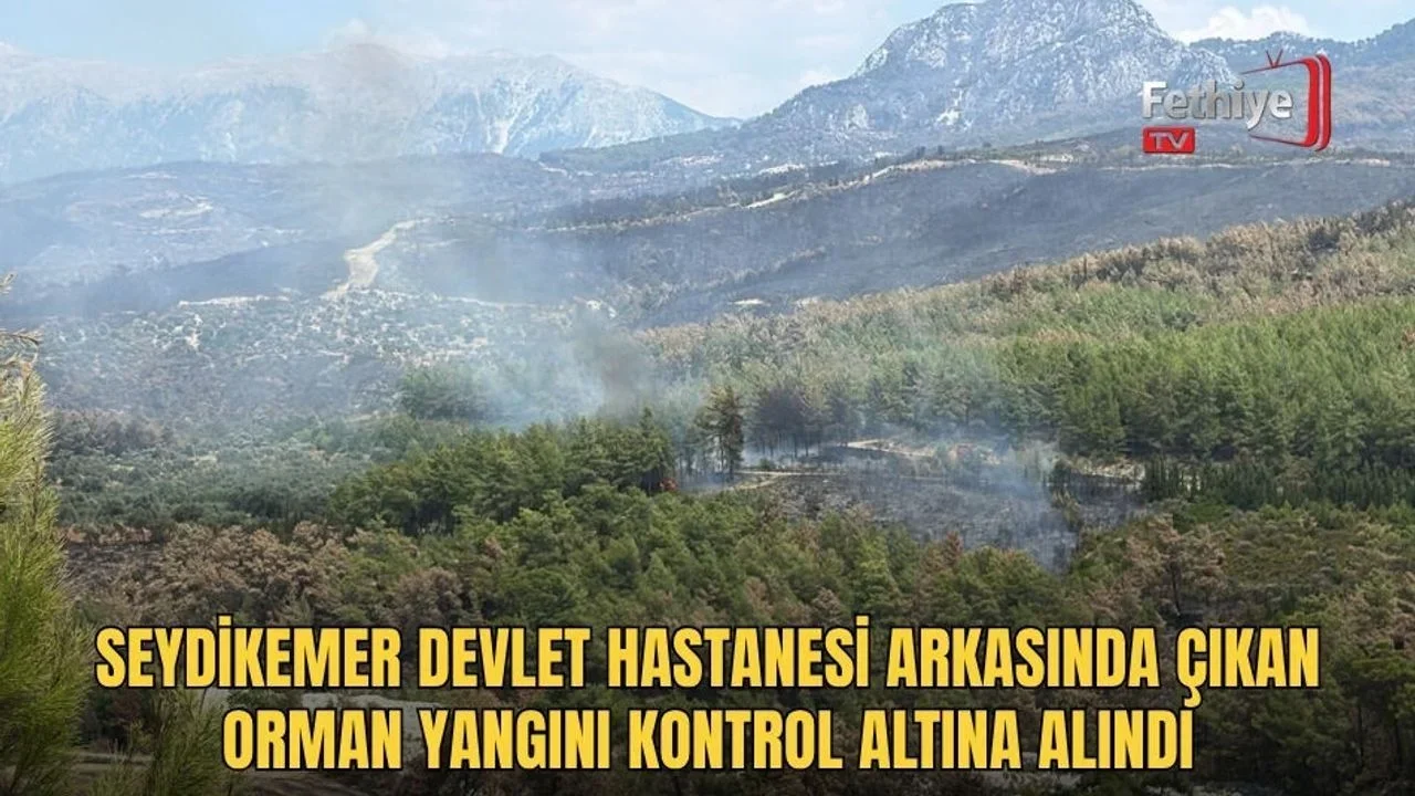 Muğla Orman Bölge Müdürlüğü ve itfaiye ekipleri, bölgede çıkan yangına müdahale ederek alevleri kontrol altına aldı.