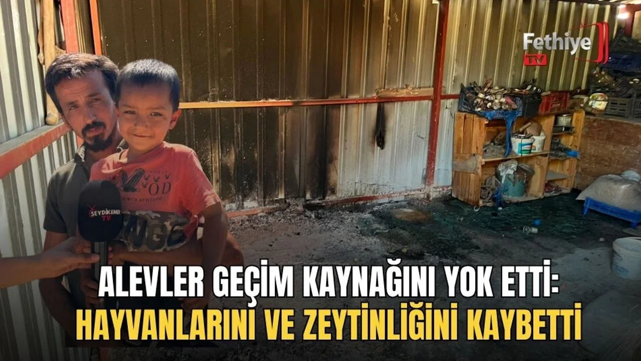 Alevler Geçim Kaynağını Yok Etti: Hayvanlarını Ve Zeytinliğini Kaybetti