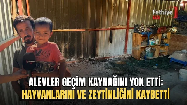 Alevler Geçim Kaynağını Yok Etti: Hayvanlarını Ve Zeytinliğini Kaybetti