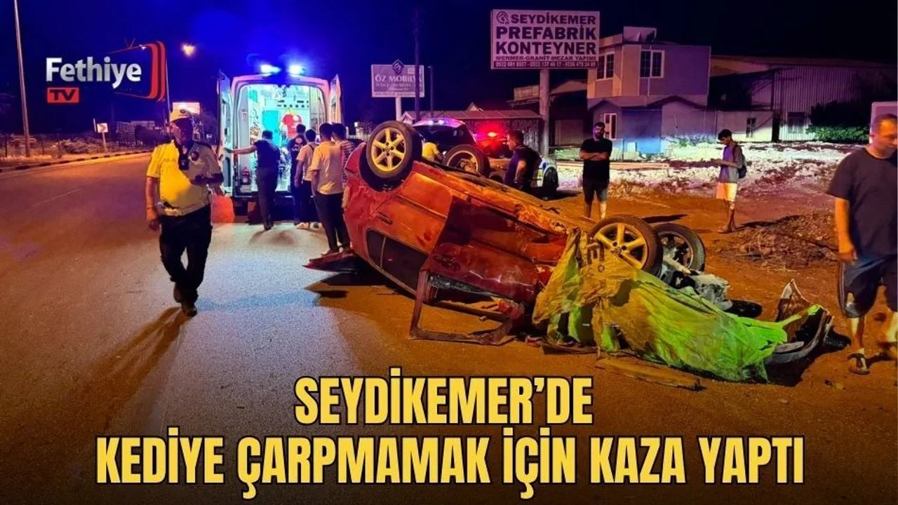 Seydikemer’de Kediye Çarpmamak İçin Kaza Yaptı