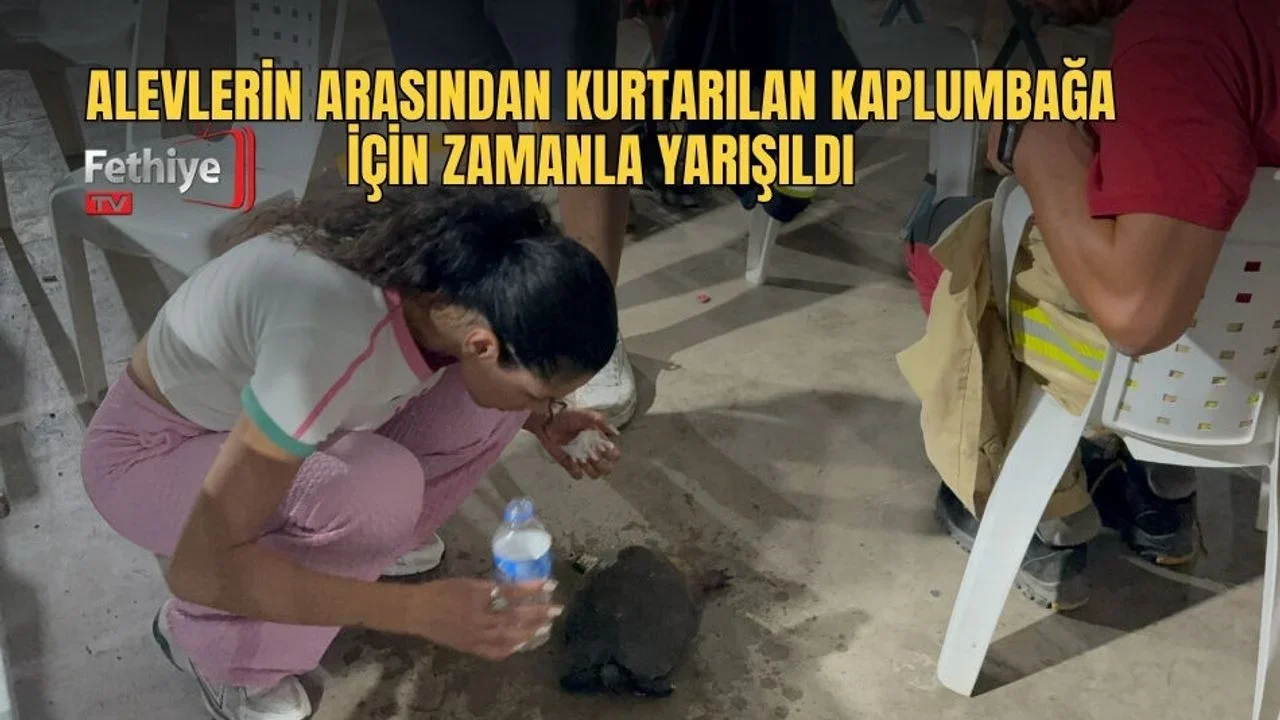Alevlerin Arasından Kurtarılan Kaplumbağa İçin Zamanla Yarışıldı