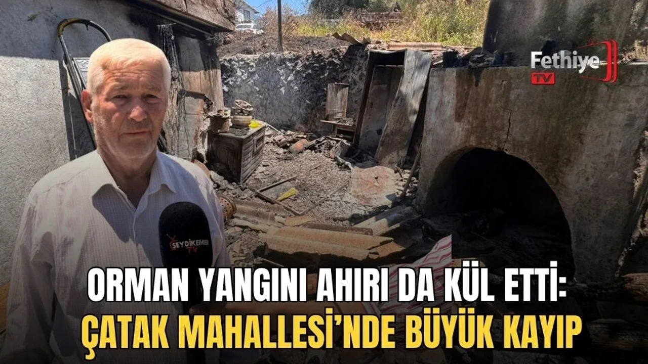 Orman Yangını Ahırı Da Kül Etti: Çatak Mahallesi’nde Büyük Kayıp