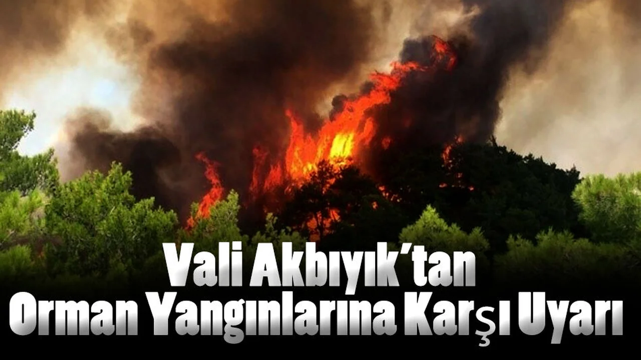 Muğla Valisi Dr. İdris Akbıyık'tan Orman Yangınlarına Karşı Uyarı
