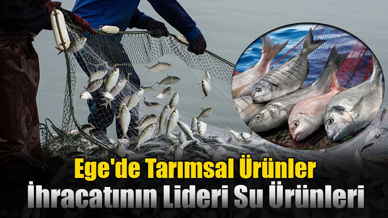 Ege'de Tarımsal Ürünler İhracatının Lideri Su Ürünleri
