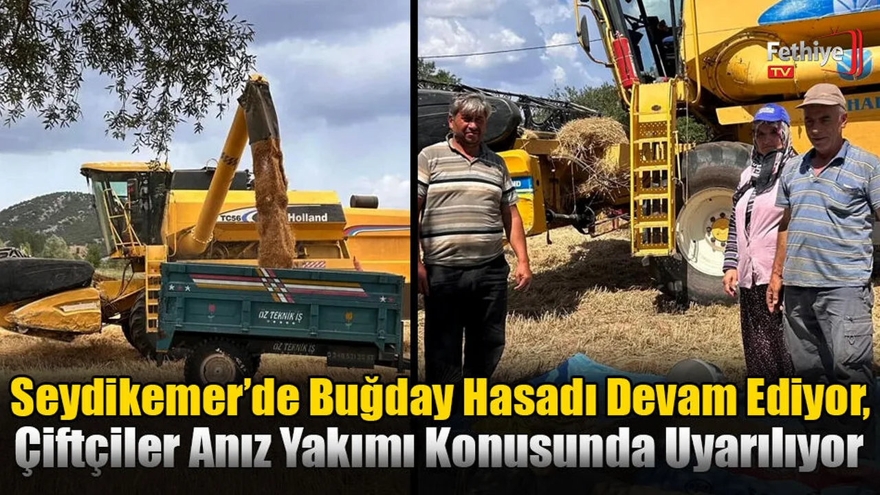 Seydikemer'de Buğday Hasadı Devam Ediyor