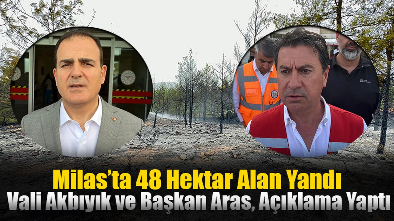 Milas’ta 48 Hektar Alan Yandı