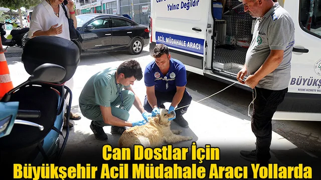 Can Dostlar İçin Büyükşehir Acil Müdahale Aracı Yollarda