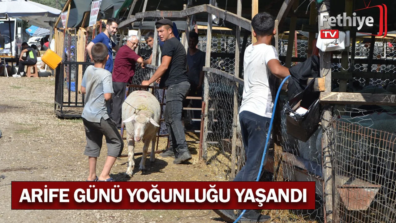 Kurbanlıklar Satışta