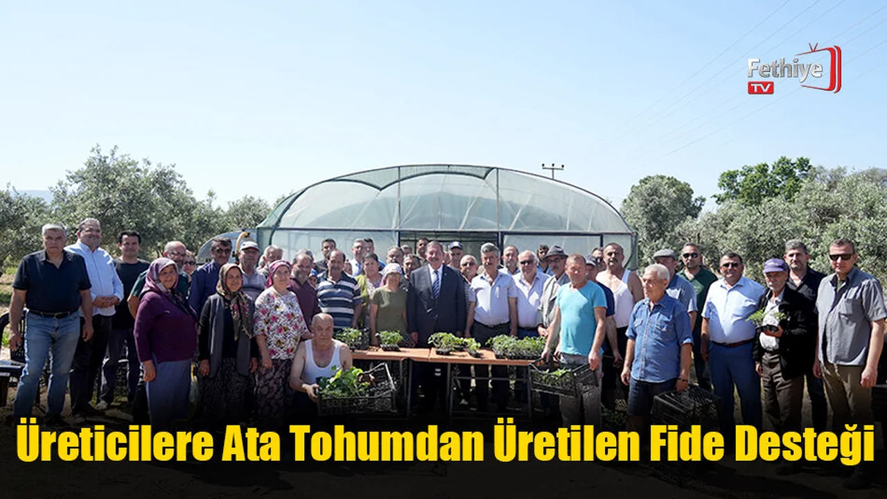 Üreticilere Ata Tohumdan Üretilen Fide Desteği