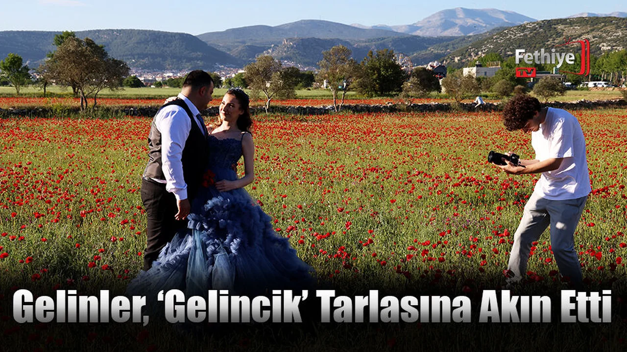 Gelinler, ‘Gelincik’ Tarlasına Akın Etti