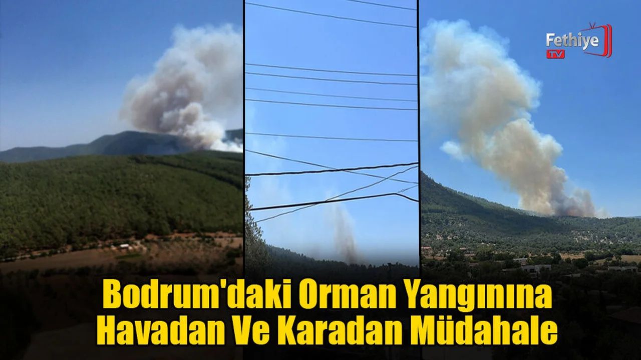 Bodrum'daki Orman Yangınına Havadan Ve Karadan Müdahale