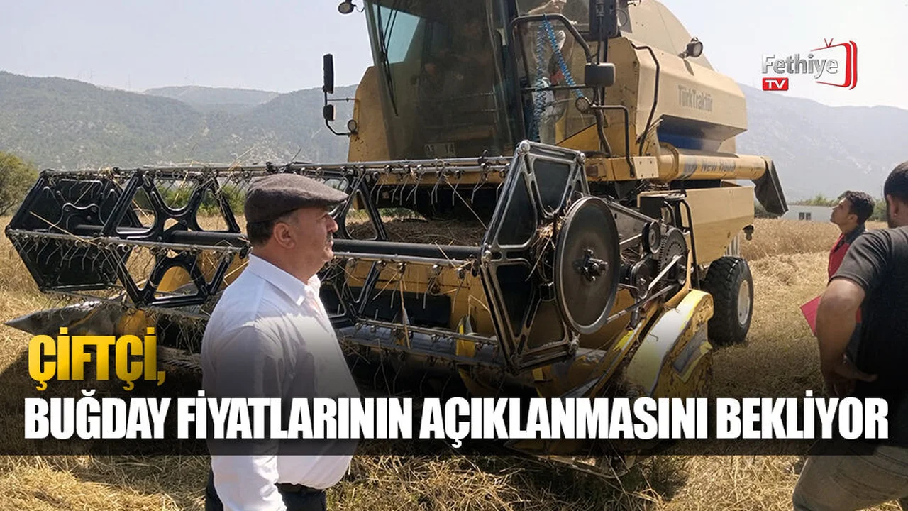Çiftçi Buğday Fiyatlarının Açıklanmasını Bekliyor