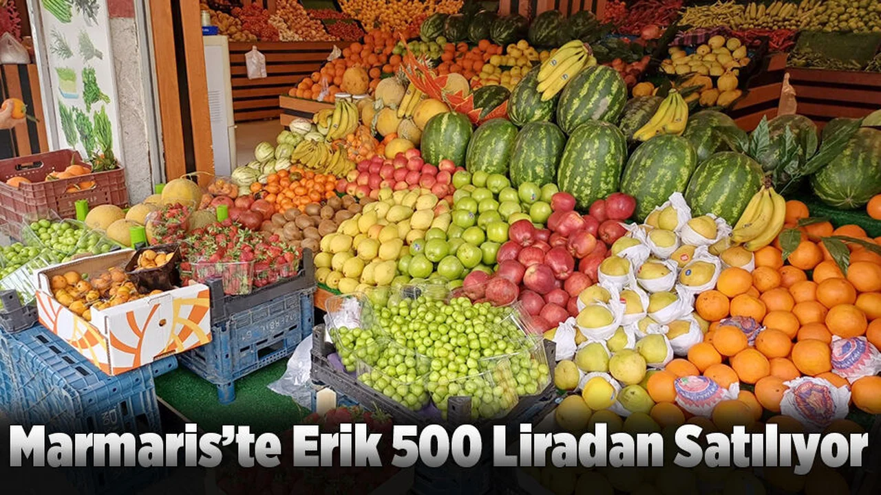 Marmaris’te Erik 500 Liradan Satılıyor