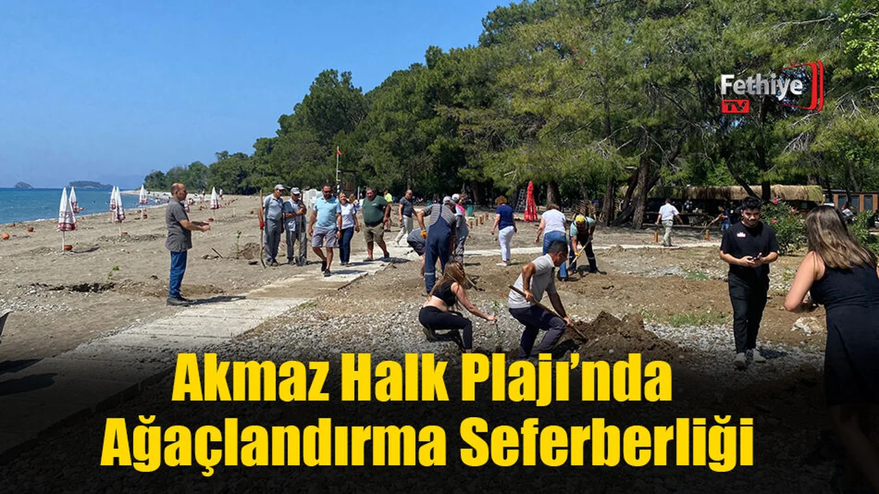 Akmaz Halk Plajı’nda Ağaçlandırma Seferberliği