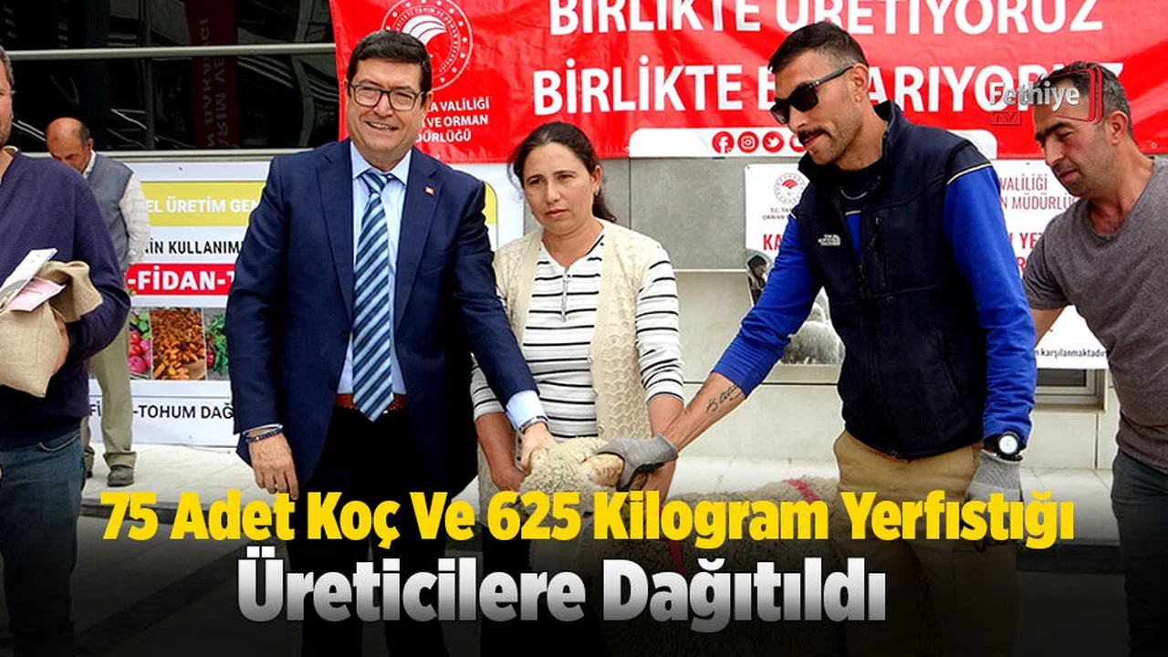 75 Adet Koç Ve 625 Kilogram Yerfıstığı Üreticilere Dağıtıldı