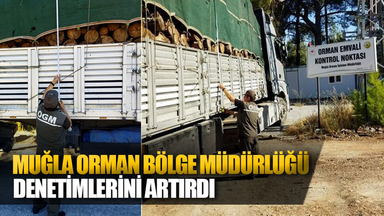 Muğla Orman Bölge Müdürlüğü Denetimlerini Artırdı