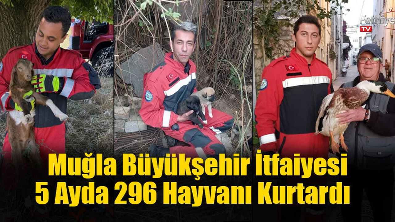Muğla Büyükşehir İtfaiyesi 5 Ayda 296 Hayvanı Kurtardı