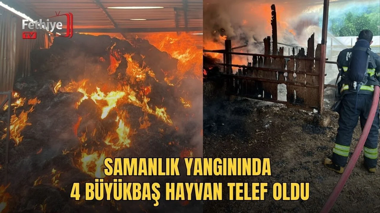 Samanlık Yangınında 4 Büyükbaş Hayvan Telef Oldu