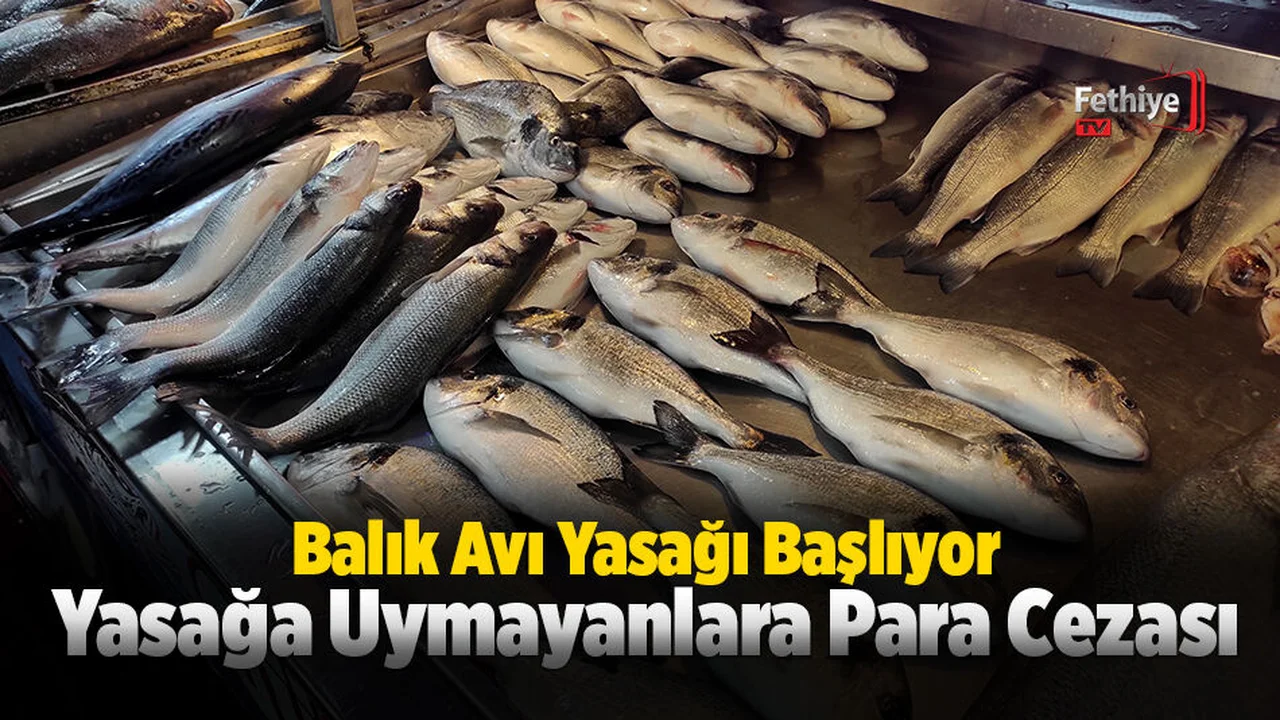 Av Sezonu 15 Nisan’da Kapanıyor