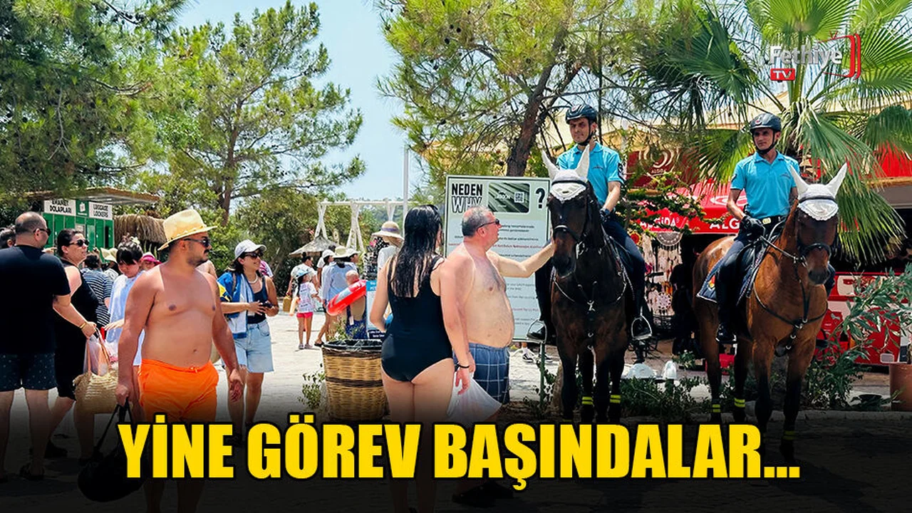 Jandarmanın Atlı Ekibi Ölüdeniz'de Bu Yıl Da Görev Başında