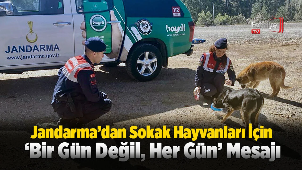 Jandarma’dan Sokak Hayvanlarına Karşı Duyarlı Davranış