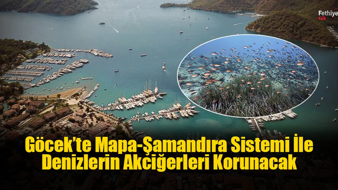 Göcek’te Mapa-Şamandıra Sistemi İle Denizlerin Akciğerleri Korunacak