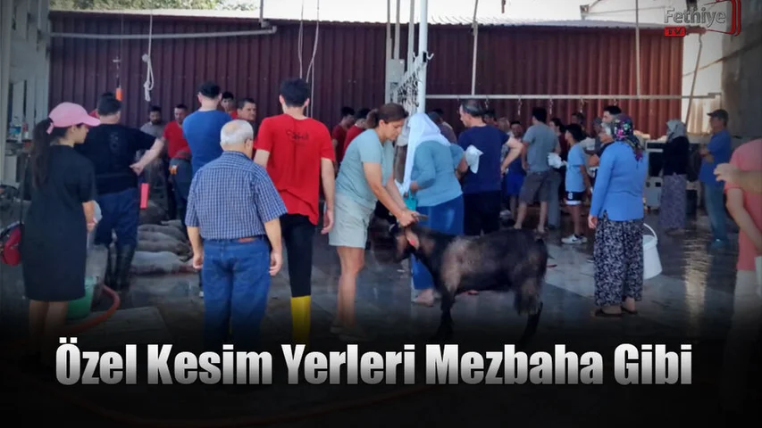 Özel Kesim Yerleri Mezbaha Gibi