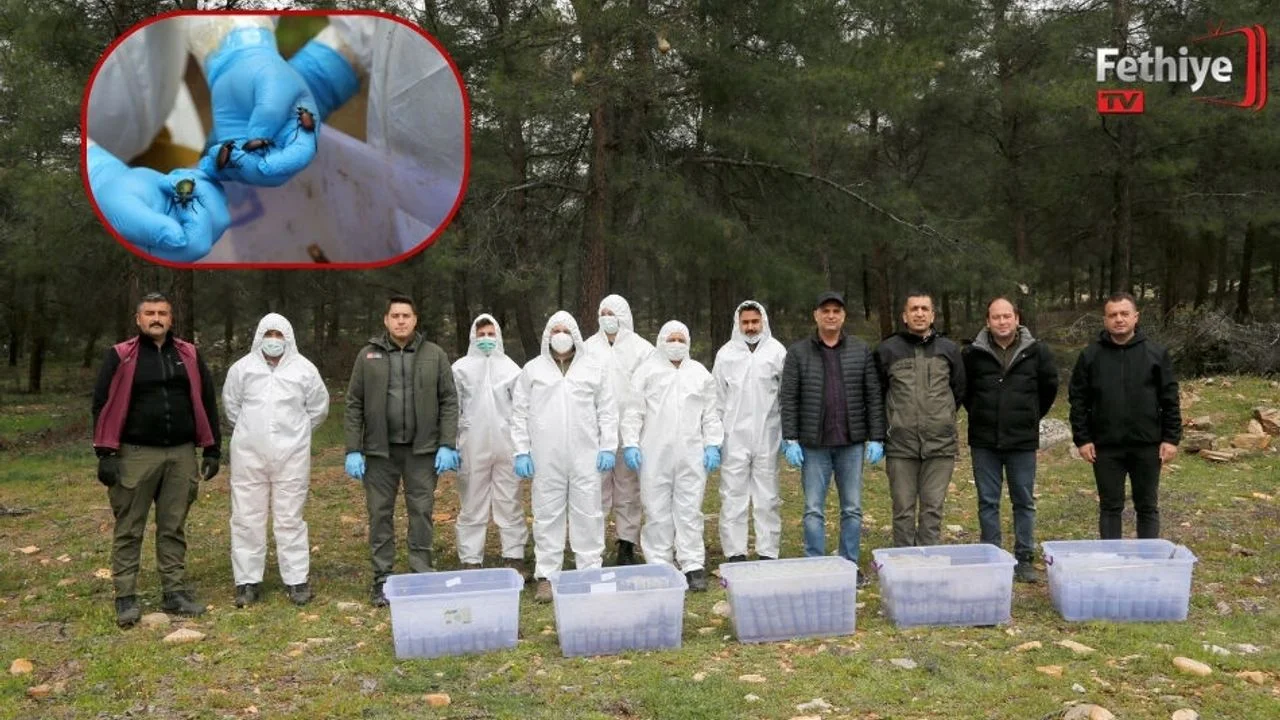 Terminatör Böcekler İş Başında