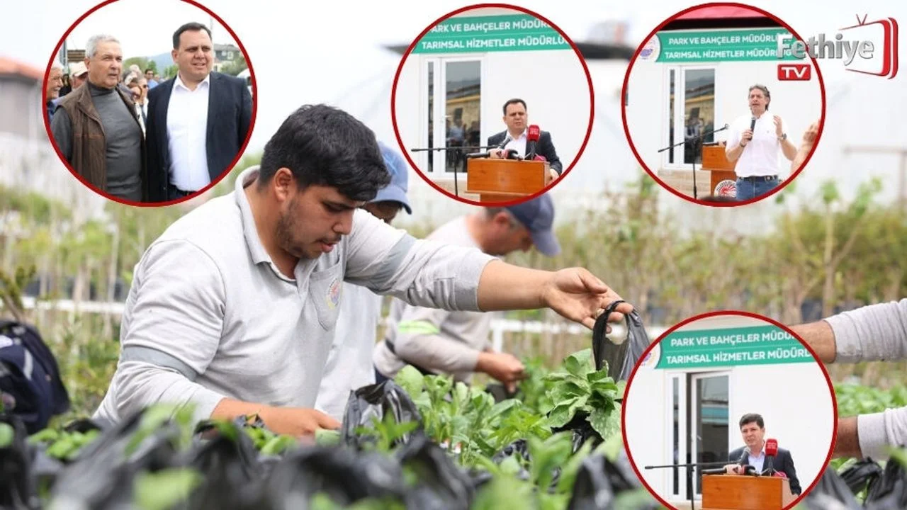 Dalaman’da Üreticilere Fide Desteği Sağlandı
