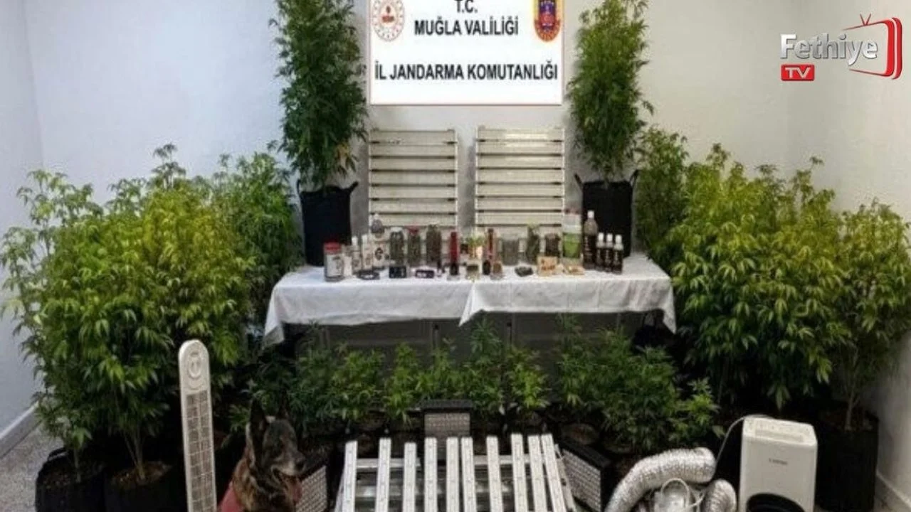 Muğla'da 15'inci Yüzyıla Ait Tevrat Ele Geçirildi