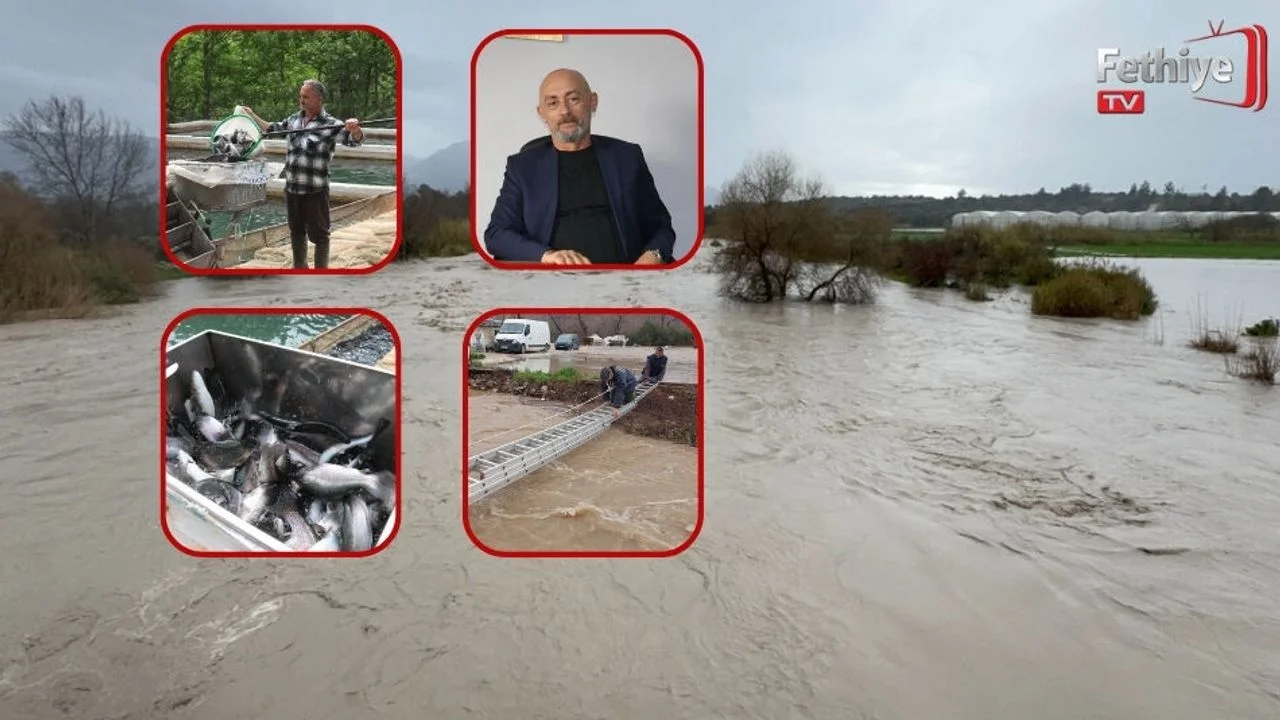 Seydikemer’deki Sel Felaketi Alabalık Tesislerini Vurdu: 100 Milyon Tl Zarar