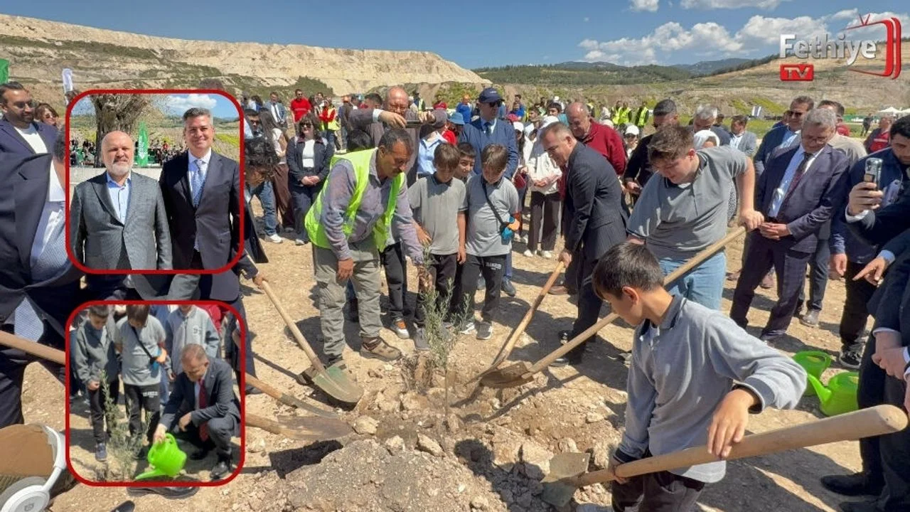 Taşınan Her Zeytin Ağacına Karşılık Fidan: Milas'ta 4 Bin Zeytin Toprakla Buluştu