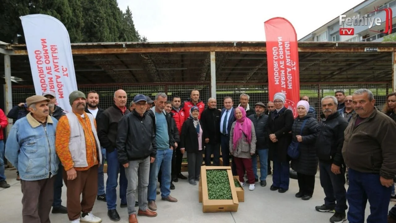 500 Bin Ata Tohumundan Üretilen Fideler Toprakla Buluşuyor