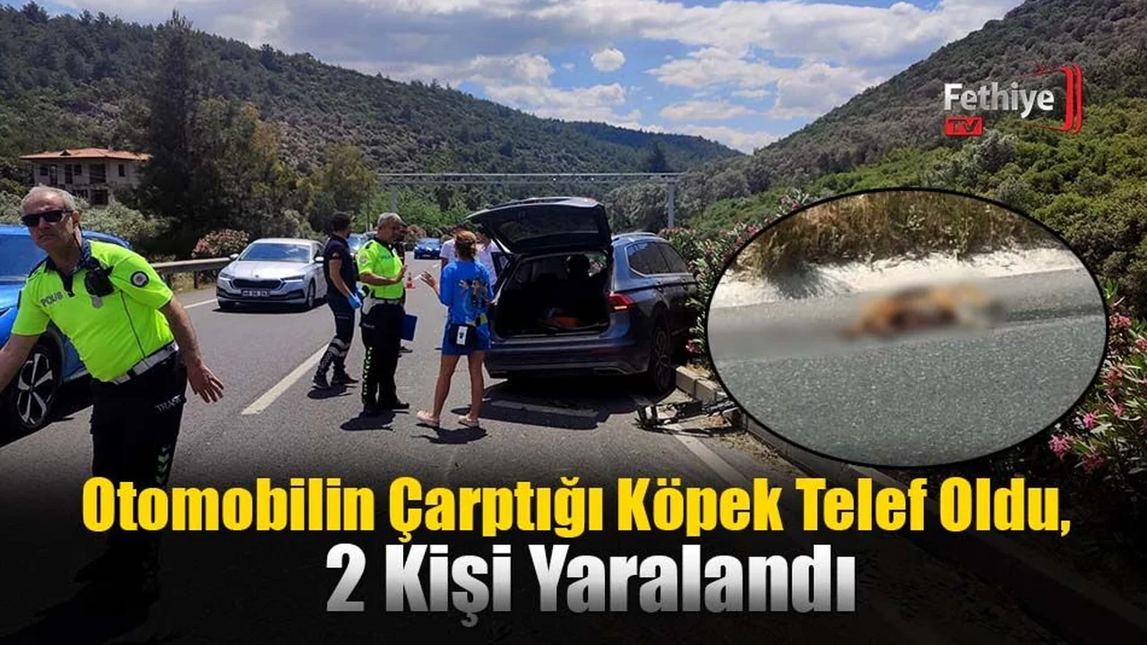 Otomobilin Çarptığı Köpek Telef Oldu, 2 Kişi Yaralandı