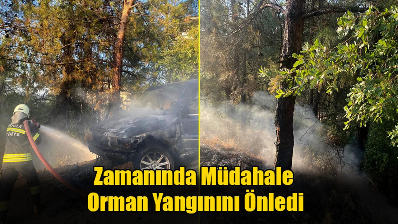Zamanında Müdahale Orman Yangınını Önledi