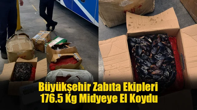 Büyükşehir Zabıta Ekipleri 176.5 Kg Midyeye El Koydu