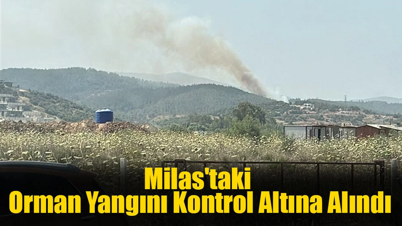 Milas'taki Orman Yangını Kontrol Altına Alındı