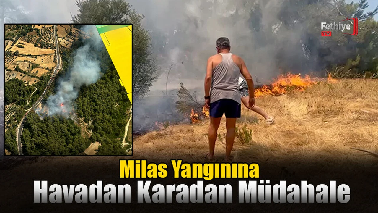 Milas Yangınına Havadan Karadan Müdahale