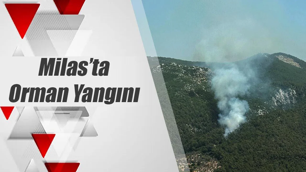 Milas’ta Orman Yangını Başladı